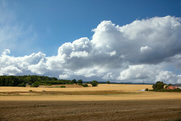 Farmland in Hvidberg Denmark