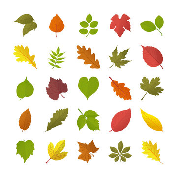 Autumn Leaves Flat Icons 