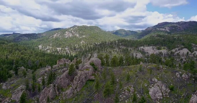 Black Hills, South Dakota, Custer State Park, Aerial Drone Shot