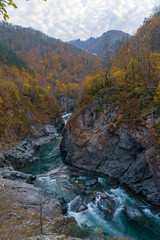 Fototapeta na wymiar Clean mountain river in the autumn forest.