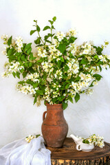 Tender jasmine branches in a jug on a wooden table against the wall. Still life.