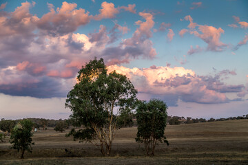 Obraz premium Agriculture landscape in Melbourne at sunset.