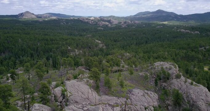 Black Hills, South Dakota, Custer State Park, Aerial Drone Shot