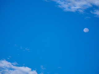 moon on blue sky and white fluffy cloud fresh ozone in morning of sunny day / cloudscape backdrop and background