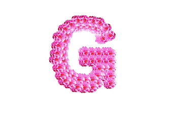 The letter is made of pink flowers on a white background. Spring concept Floral letters of the alphabet for wedding design or flower festival