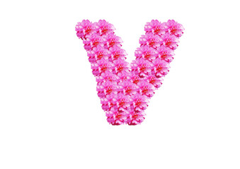 The letter V is made of pink flowers on a white background. Spring concept Floral letters of the alphabet for wedding design or flower festival