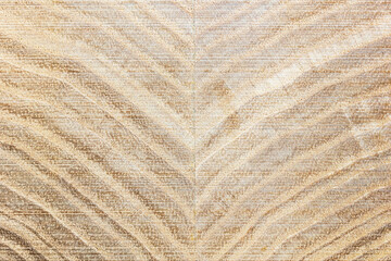 wood texture of glued timber closeup. natural wooden pattern