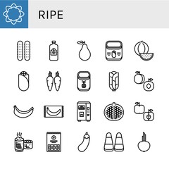 ripe simple icons set