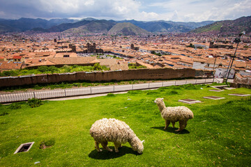 Mirador de la ciudad de Cusco
