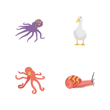 Ocean Animals Flat Icons 