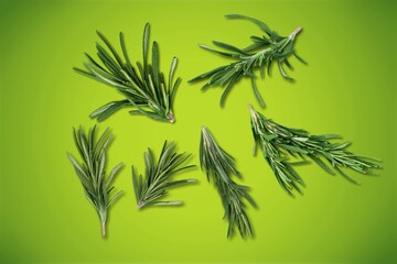 Rosemary.