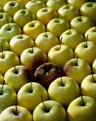 Bad apple