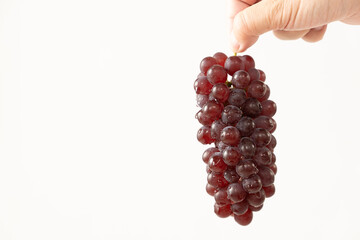 ぶどうを持つ手　ホワイトバック