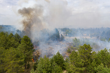 Aerial drone view of a wildfire in forested area