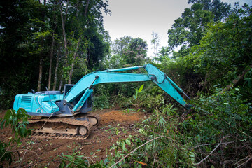 Deforestation. Logging. Excavator fells trees in rainforest