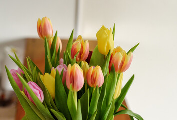bouquet of tulips