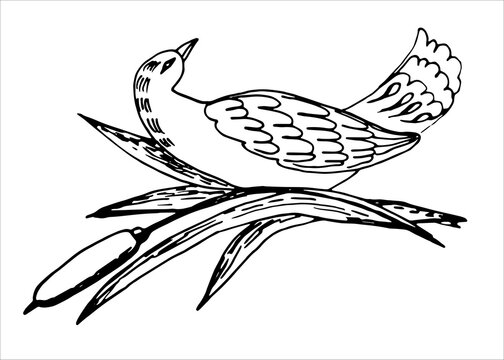 
image of a bird on a branch. black and white on an isolated background. drawn by hand
