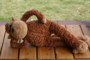 Stuffed Animal Posing