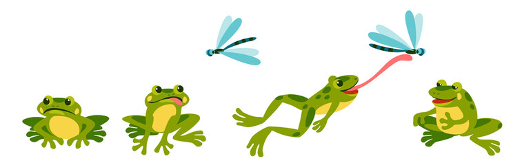 funny frog is resting sad hungry, sees a dragonfly, jumps and shoots its tongue, eats it and sits contentedly and full.
