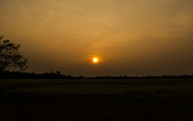 Sunset  or Sunrise View at Kaziranga National Park of Assam, India
