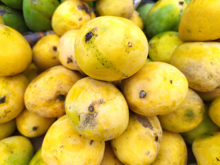 fresh healthy yellow sweets mango put on fruits shop