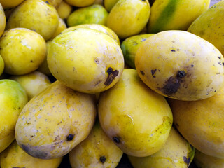 fresh healthy yellow sweets mango put on fruits shop