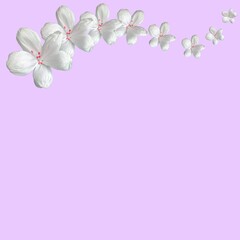 Fototapeta na wymiar Arrangement of White paper flowers on pink background