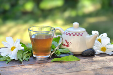 cup of mint tea and teapot on a wooden table in garden among fresh  leaf and white flowers