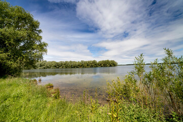 Lake and forest in sunny summer day.