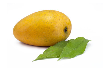 Fresh mango with green leaves on white background