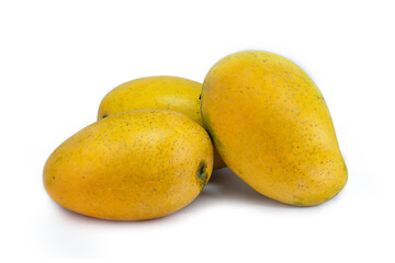 set of three fresh mango on white backghround