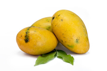 set of three fresh mangoes on white background