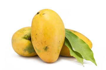 fresh high quality mangoes on white background