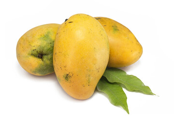 fresh high quality mangoes on white background