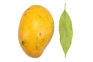 mango with mango leaf on white background