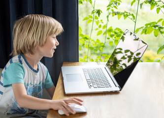 Young boy watching computer at home, smiling