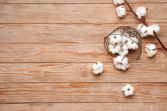 Basket with beautiful cotton flowers on wooden background
