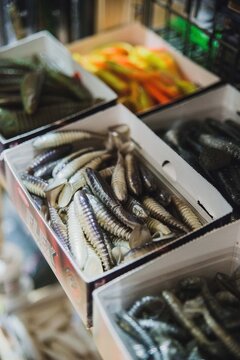 App&acirc;ts pour la p&ecirc;che