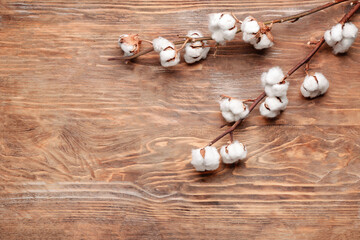 Beautiful cotton branch on wooden background