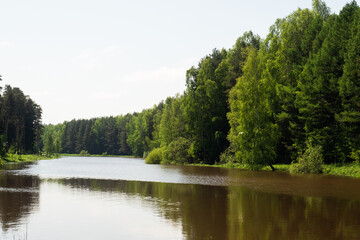 View of the forest river. A landscape with a river and forest trees on a Sunny summer day.