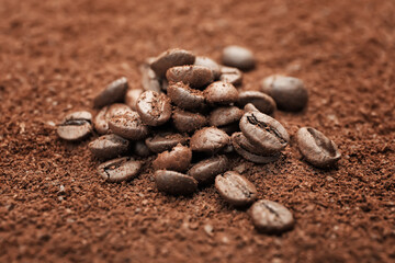 Roasted coffee beans on powder