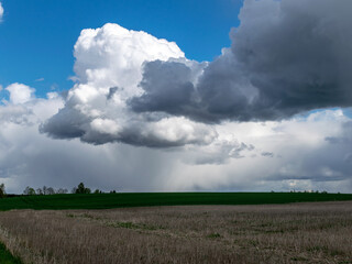 landscape from gray land field and green grass, high blue sky with cumulus and rain clouds