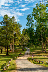 Road or pathway with wooden fence on a hill in the pine tree garden with grass fields at countryside.