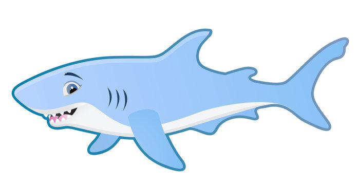 Cute cartoon shark vector illustration