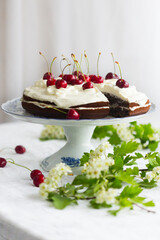 Piece of homemade cherry cake with whipping cream and cherry berry on top surrounded with flowering  branches on white tablecloth