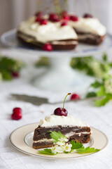 Piece of homemade cherry cake with whipping cream and cherry berry on top surrounded with flowering  branches on white tablecloth