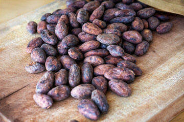Raw cocoa beans on wooden background