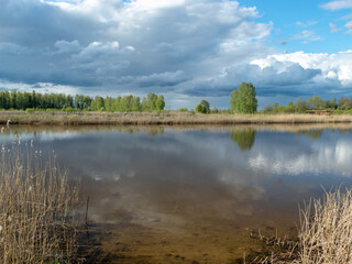 calm scene of beautiful sky with cumulus clouds reflection on the lake, in the foreground last year's dry reed stalks