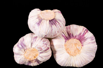 Fresh heads of garlic isolated on black background, close up