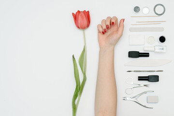 Tools for manicure and women's delicate hand with a red flower tulip